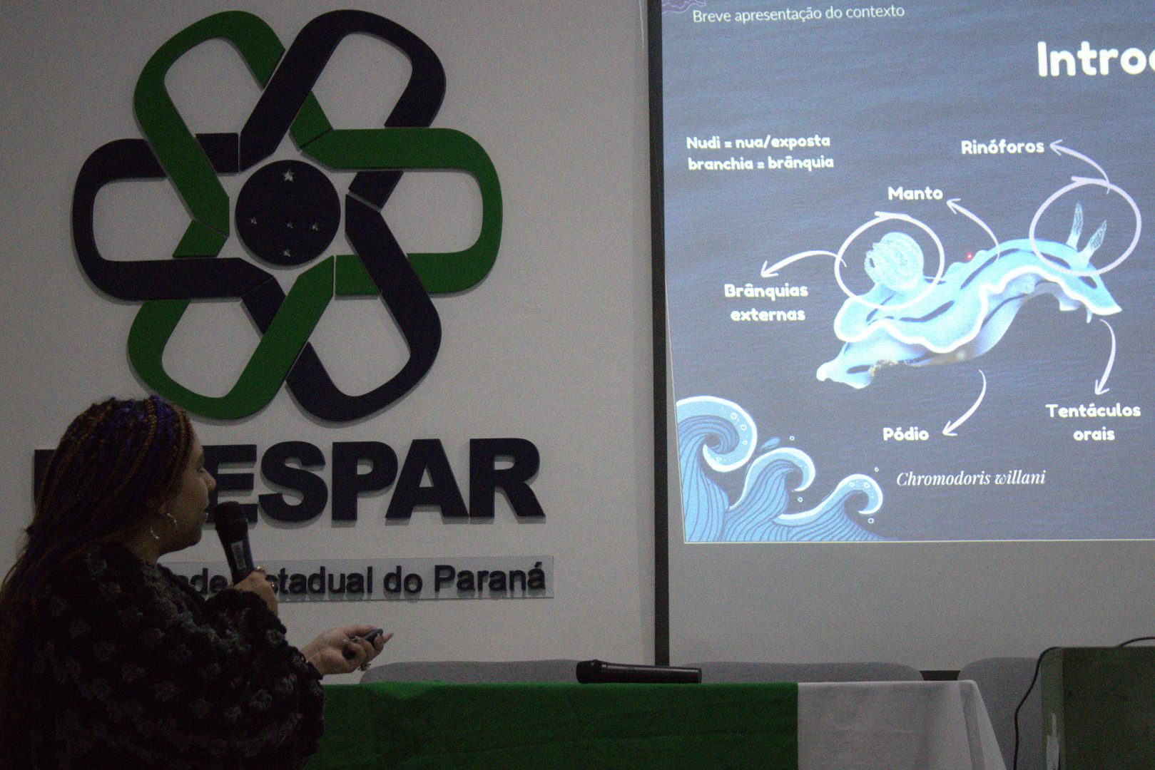 SEMPA 2026-06.jpg